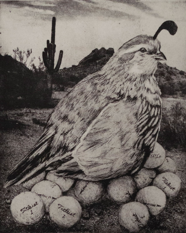 etching of a quail sitting on golf balls